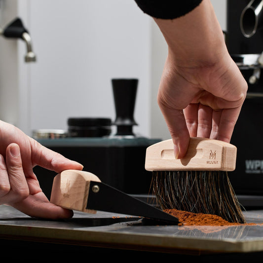 How to Clean Your Breville Espresso Machine: Daily, Weekly & Monthly Guide